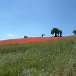 Oda ve Kahvaltı Casa Cuccagna 3*