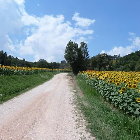 Casa Cuccagna Alojamento de Acomodação e Pequeno-almoço