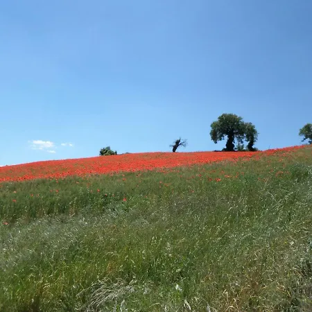 Bed & Breakfast Casa Cuccagna *